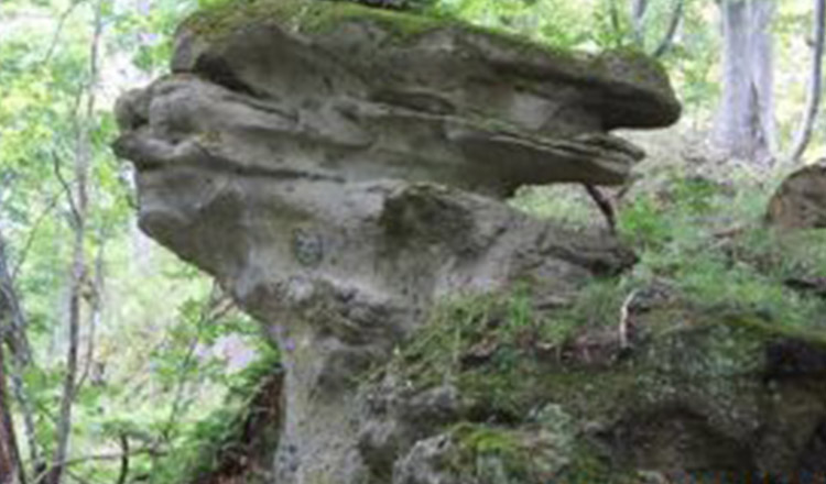 Sfinxul Vâlcii din pădurea interzisă, de pe drumul monahului, este poate cel mai frumos din ţară